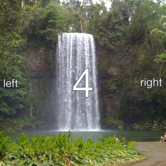 lsit - Picture 12 of 16